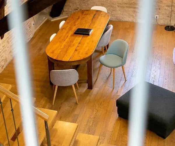 Le Mucie*****loft Au Centre De ディジョン